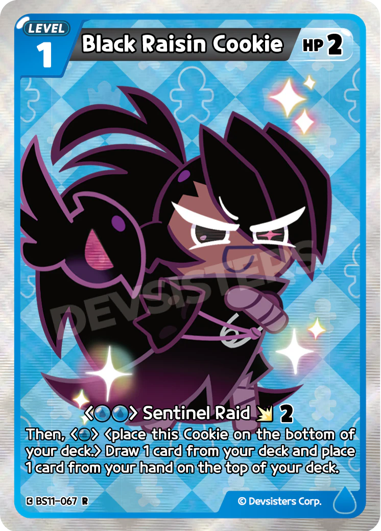 BS11-067 Black Raisin Cookie