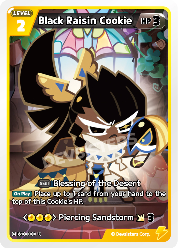 BS3-030 Black Raisin Cookie