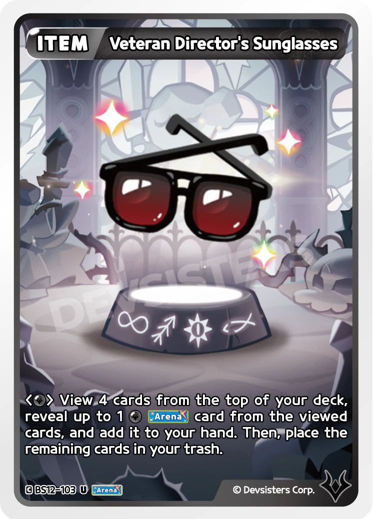 Veteran Director's Sunglasses