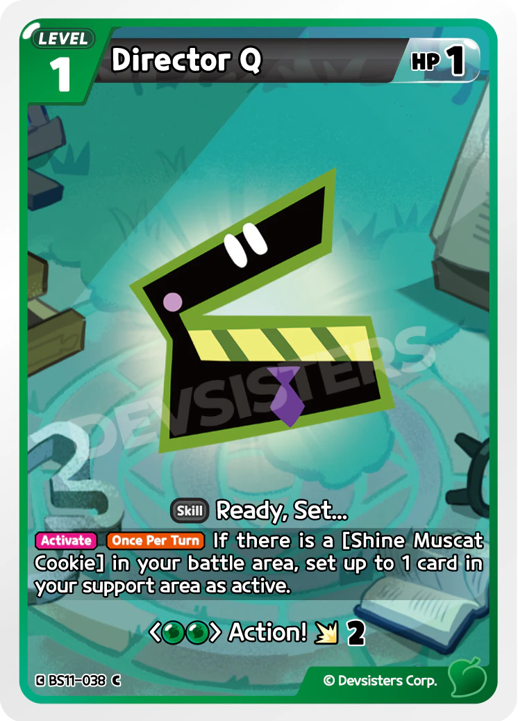BS11-038 Director Q