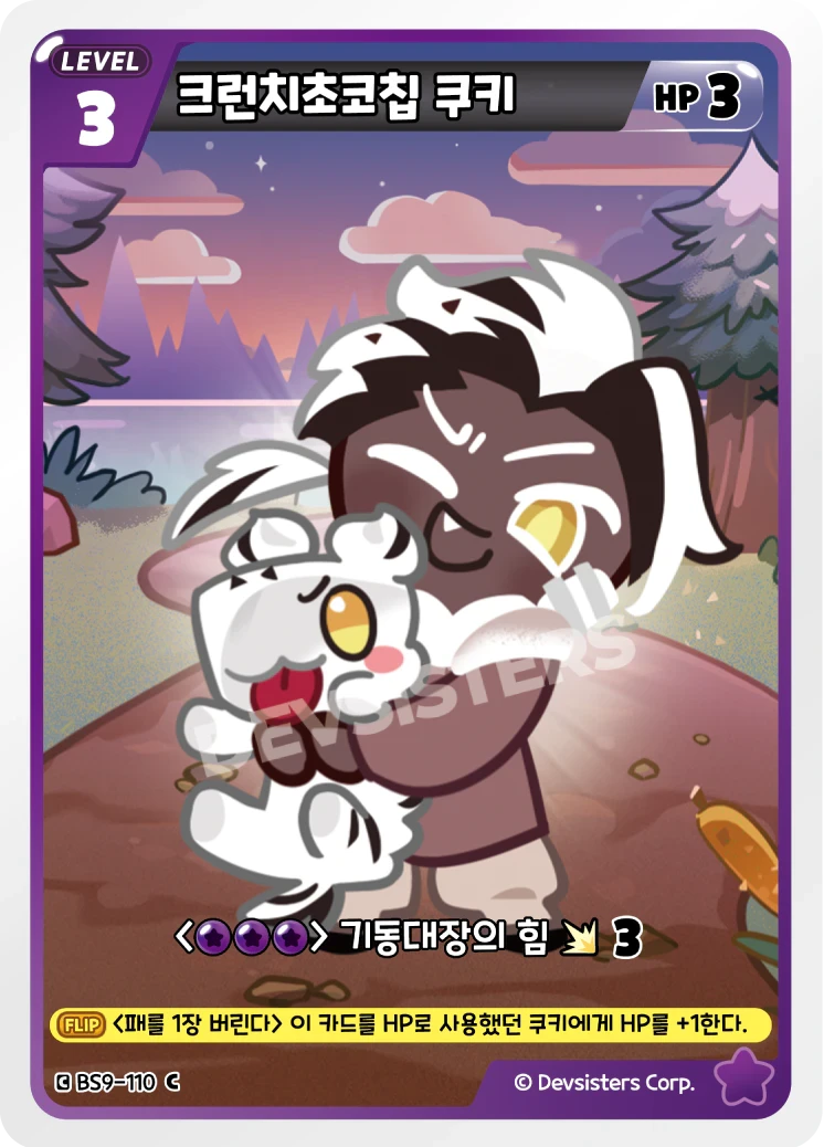 크런치초코칩 쿠키