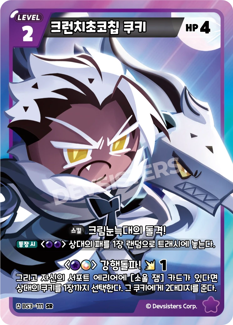 크런치초코칩 쿠키