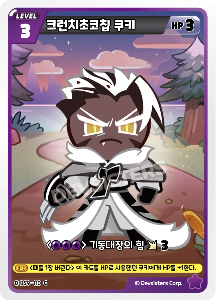 크런치초코칩 쿠키